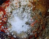 A picture of step 2 of Spicy fried potatoes.