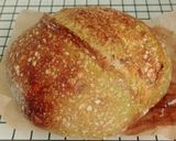 Foto langkah ke 25 dari resep Pandan Chili Flakes Cheese Sourdough Bread (Open Bake Method).