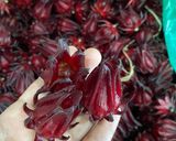 Hình bước làm 1 của món Mứt hoa bụp giấm hay hoa bụt giấm ngào đường
