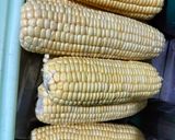 Foto langkah ke 1 dari resep Corn Ribs Bertabur Rumput laut.