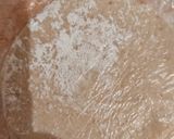 Foto del paso 2 de la receta: Rapiditas súper fáciles