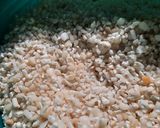 Foto del paso 1 de la receta: Locro criollo (uno de mis locros)
