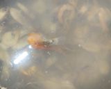 Foto langkah ke 2 dari resep Tom Yum dengan Bumbu Perencah Adabi.