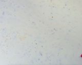 A picture of step 8 of Creamy With Sauce Pasta.