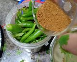 पुदीना चटनी (Pudina chutney recipe in Hindi) रेसिपी चरण 3 फोटो
