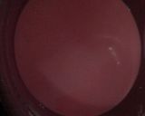 Foto langkah ke 4 dari resep Pak Thong Koh / Apem Gula Putih (jadi pink) Tepung Beras BERSERAT KENYAL LEGIT.