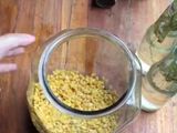 Tempe homemade
