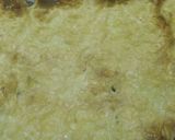 Foto del paso 6 de la receta: Patatas con gratinado de ali-oli y queso