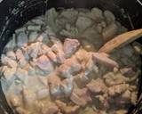 Thai Green Chicken Curry recipe step 2 photo