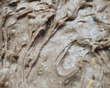 Foto del paso 2 de la receta: Torta galesa mini