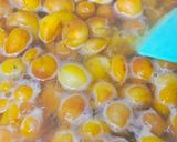 A picture of step 5 of Khubani Ka Meetha (Apricot Trifle).