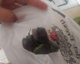 Foto del paso 1 de la receta: Chiles en relleno