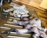 صورة لخطوة 1 من وصفة اخطبوط بالصلصة الحارة 🦑 🌸