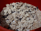 Bizcocho de chocolate crujiente integral