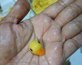 Foto langkah ke 3 dari resep Nastar Bebek.