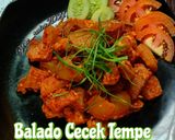 Foto langkah ke 4 dari resep Balado cecek tempe.