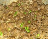बड़ी की सब्जी (badi ki sabzi recipe in Hindi) रेसिपी चरण 3 फोटो