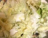 大白菜燉魚的食譜步驟3照片