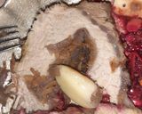 Foto del paso 5 de la receta: Entrecot (carre deshuesado de cerdo)