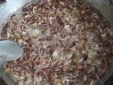 خورشت بادنجون و گوشت بوقلمون