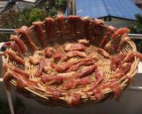 รูปขั้นตอนการทำที่ 2 ของ หมูแดดเดียว
