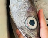 Gambar langkah 2 resipi Asam Pedas Kepala Ikan Hake versi 🇮🇪 Ireland.