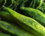 A picture of step 1 of Karela Bitter gourd.