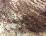 Foto del paso 5 de la receta: Tarta de plátano 🍌