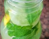 A picture of step 4 of Detox Water / Spa Water / Infused Water On The Go (Lemon cucumber mint ginger).