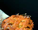 Foto del paso 16 de la receta: Pastel de manzana americano versión mini