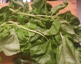 Foto del paso 1 de la receta: Salsa pesto de albahaca