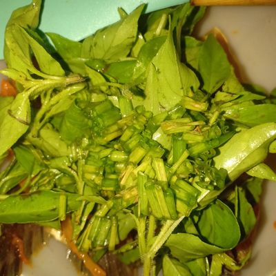 Langkah 4