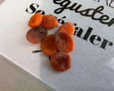 Une image de l'étape 1 de Pâte brisée aux abricots secs et crème fraîche.
