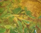 A picture of step 3 of HerbalTurmericwater#theme challenge#stayhome.