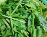 Hình bước làm 1 của món Bó xôi trộn dầu mè