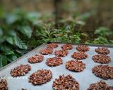 Foto langkah ke 6 dari resep Kacang coklat.