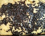 Foto langkah ke 5 dari resep Brudel chocochip.