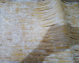 Foto del paso 10 de la receta: Tallarines caseros