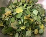 A picture of step 5 of Methi Rajma.