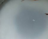 Foto del paso 3 de la receta: Arroz con leche