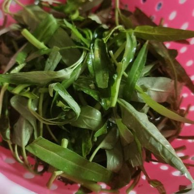 Langkah 1