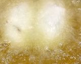 A picture of step 4 of Bread Roll.