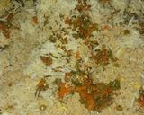 A picture of step 5 of Chicken barbecue kabab.