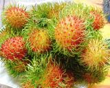 Hình bước làm 1 của món Gỏi gà chôm chôm