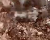 Φωτογραφία βήματος 2 της συνταγής Πώς να φτιάξεις πανεύκολα cocopops