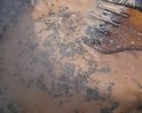 A picture of step 16 of Paneer Tikka Masala.