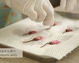 A picture of step 10 of Cherry Blossoms and Matcha ''MIZU-YOKAN'' (White Bean Jelly).