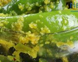 રાયતા મરચા (Raita Marcha Recipe In Gujarati) રેસીપી સ્ટેપ2ફોટો