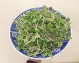 Hình bước làm 5 của món Rau mầm trộn 5p