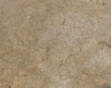 عکس مرحله 2 از دستور بیسکوییت ساقه طلایی